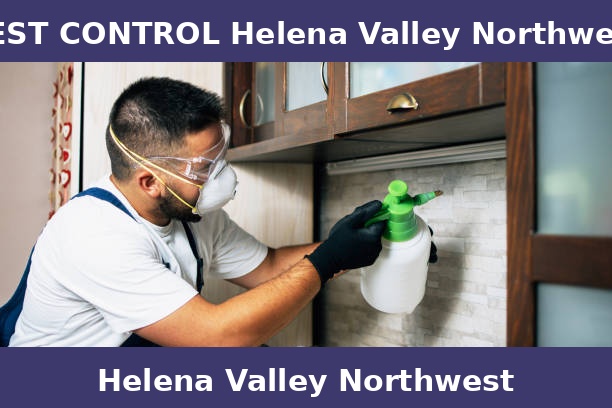 PEST CONTROL Helena Valley Northwest